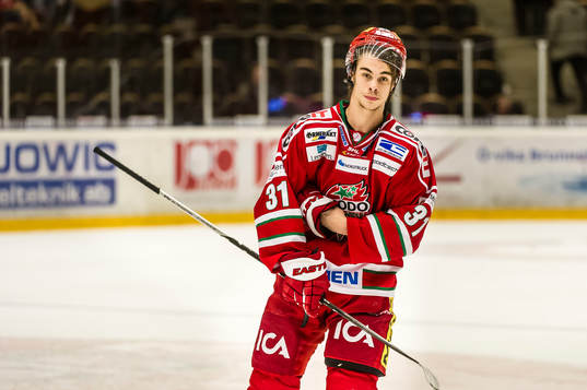 Modos Gustav Possler deppar