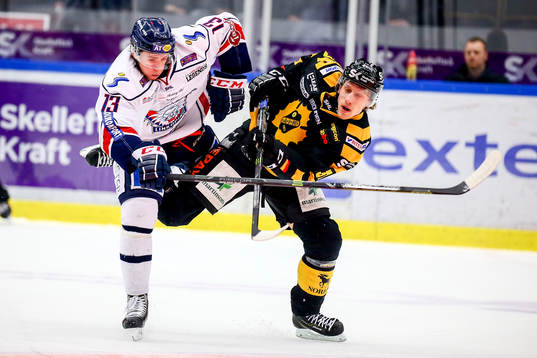 Bläddra bland fler bilder av Ishockey, Shl, Skellefteå - Linköping