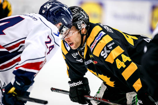 Skellefteås Rob Schremp