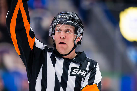 Domare Morgan Johansson