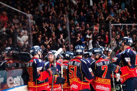 Djurgårdens spelare jublar med publiken