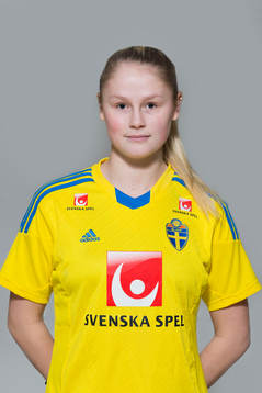 Bläddra bland fler bilder av Fotboll, F16/99, Sverige, porträtt