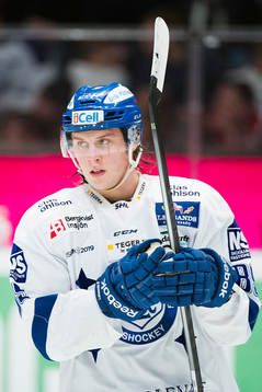 Leksands David Åslin