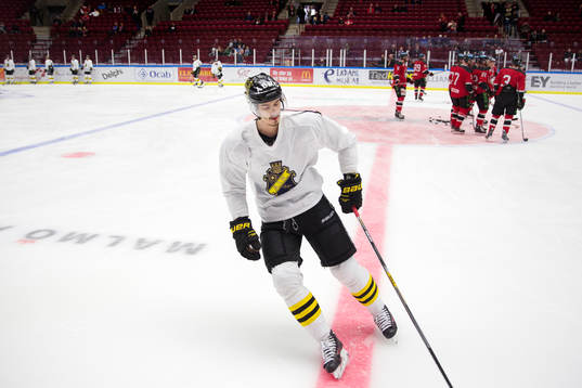 s Ziga Pavlin innan ishockeymatchen mellan Malmö Redhawks
