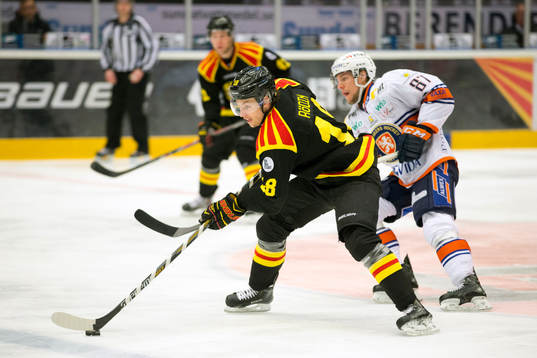 Brynäs Anton Rödin och Växjö Robert Rosen