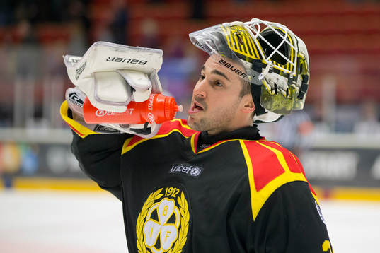 Brynäs Bernhard Starkbaum