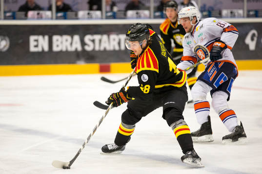 Brynäs Anton Rödin