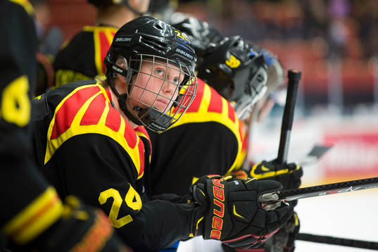 Brynäs Jens Lööke
