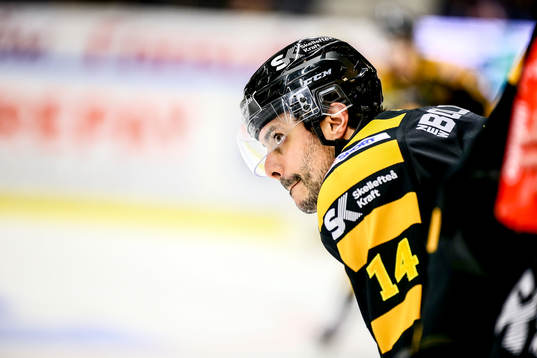 Skellefteås Daniel Widing