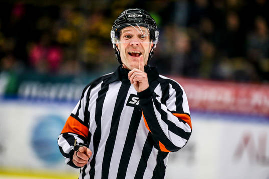 Domare Thomas Andersson