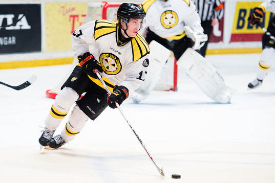 Brynäs Pathrik Westerholm