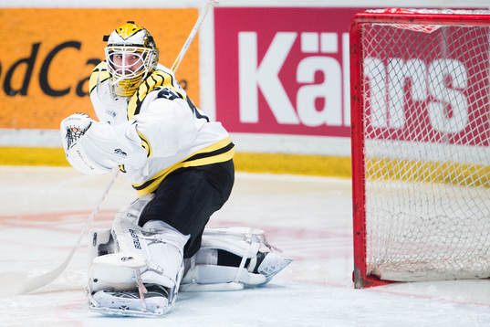 Brynäs målvakt Bernhard Starkbaum