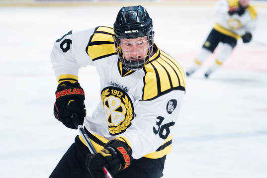 Brynäs Linus Ölund