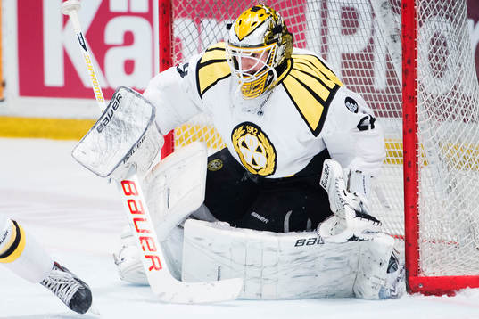 Brynäs målvakt Bernhard Starkbaum