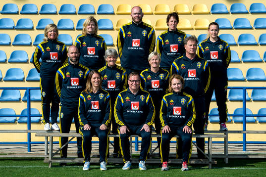Sveriges ledarstab