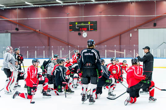 Malmö Redhawks assisterande tränare Björn Hellkvist
