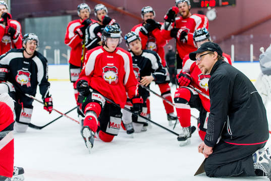 Malmö Redhawks assisterande tränare Björn Hellkvist