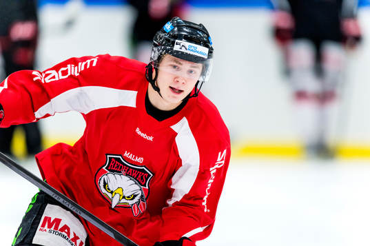 Malmö Redhawks Jens Henrik Tönjum