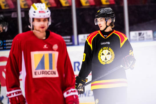 Brynäs Adam Brodecki före ishockeymatchen i SHL mellan
