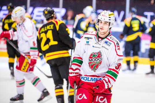 Modos Gustav Possler deppar