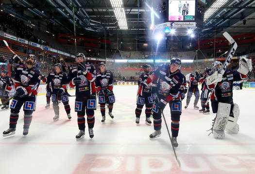 Linköping jublar
