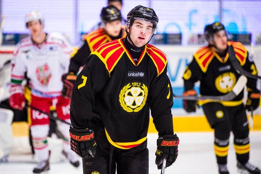 Brynäs Ponthus Westerholm