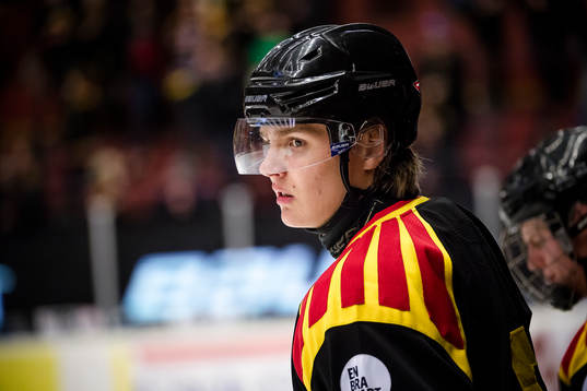 Brynäs Hampus Eriksson