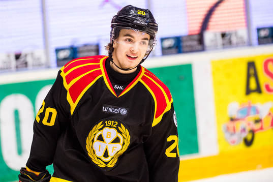 Brynäs Adam Brodecki