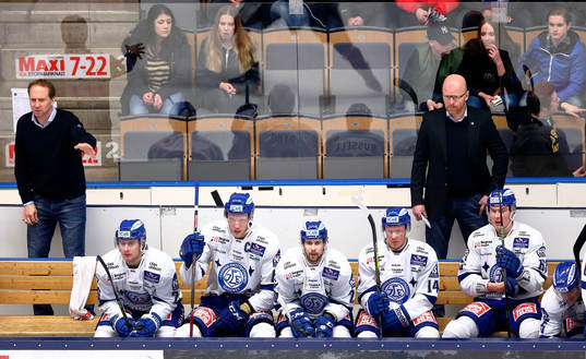 Leksands bÅís med assisterande trÅ†nare
