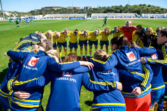Sveriges spelare laddar