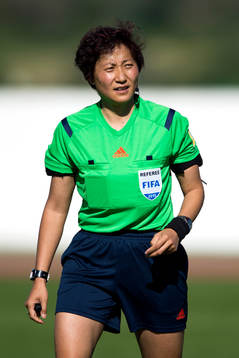 Domare Liang Qin
