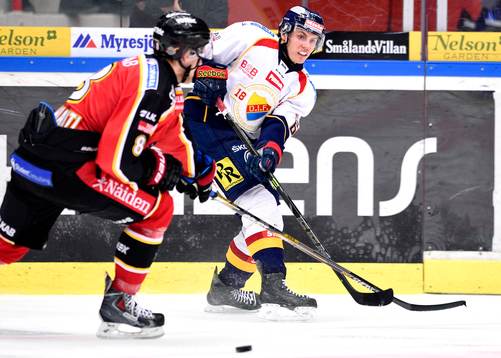 Djurgårdens Markus Ljung