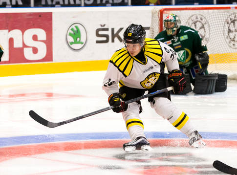 Brynäs Adam Brodecki