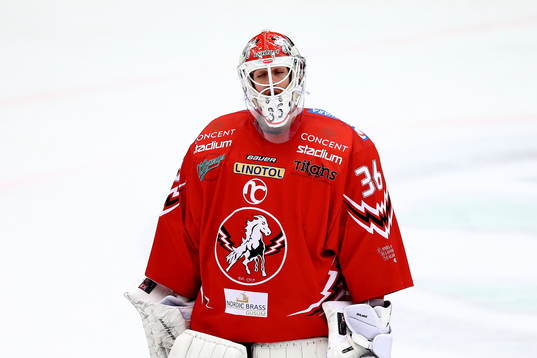 Vita Hästens Axel Brage