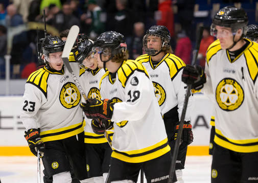 Brynäs Bill Sweatt klappar om Adam Brodecki