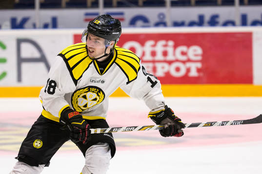 Brynäs Anton Rödin