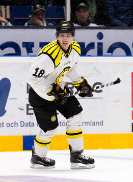 Brynäs Anton Rödin