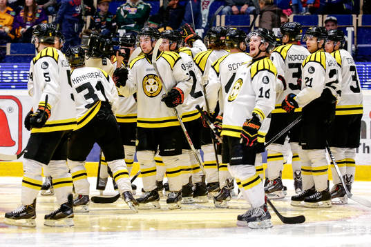 Brynäs jublar