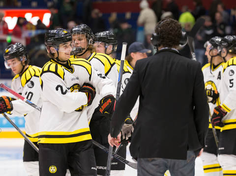 Brynäs Adam Brodecki jublar