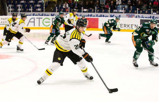 Brynäs Adam Brodecki