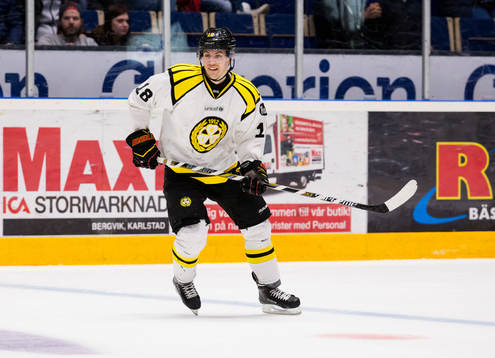 Brynäs Anton Rödin