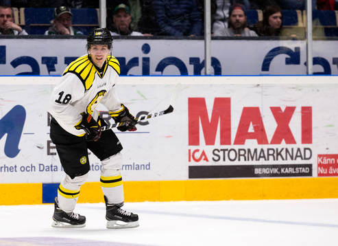 Brynäs Anton Rödin