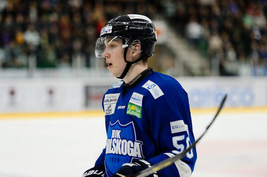 +under matchen i kvalet till SHL mellan Rögle och Karlskoga