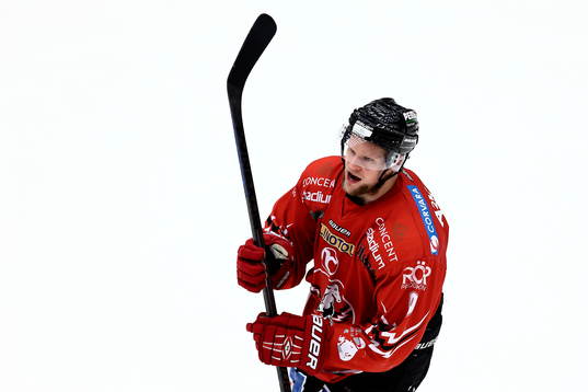 Vita Hästens Alexander Larsson jublar