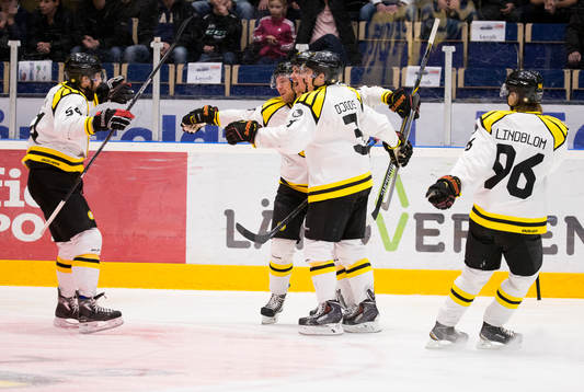 Brynäs firar mål 1-1