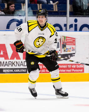 Brynäs Anton Rödin