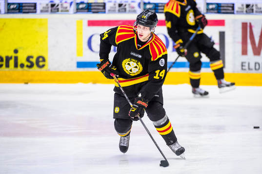 Brynäs David Westlund före ishockeymatchen i Kval till