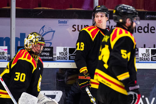 Brynäs Anton Rödin före ishockeymatchen i Kval till