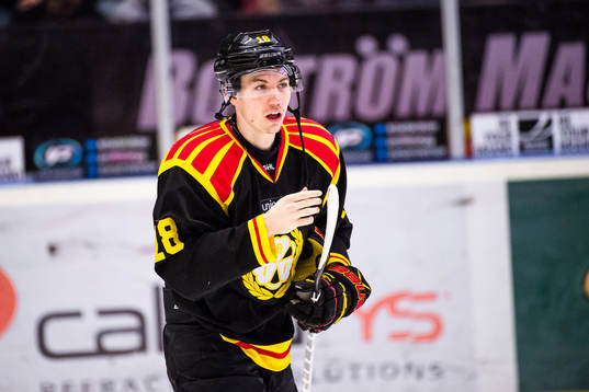 Brynäs Anton Rödin