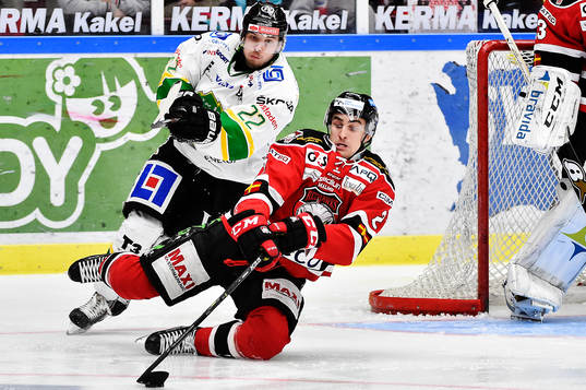 Björklövens Nicklas Johansson och Malmö Redhawks Nils